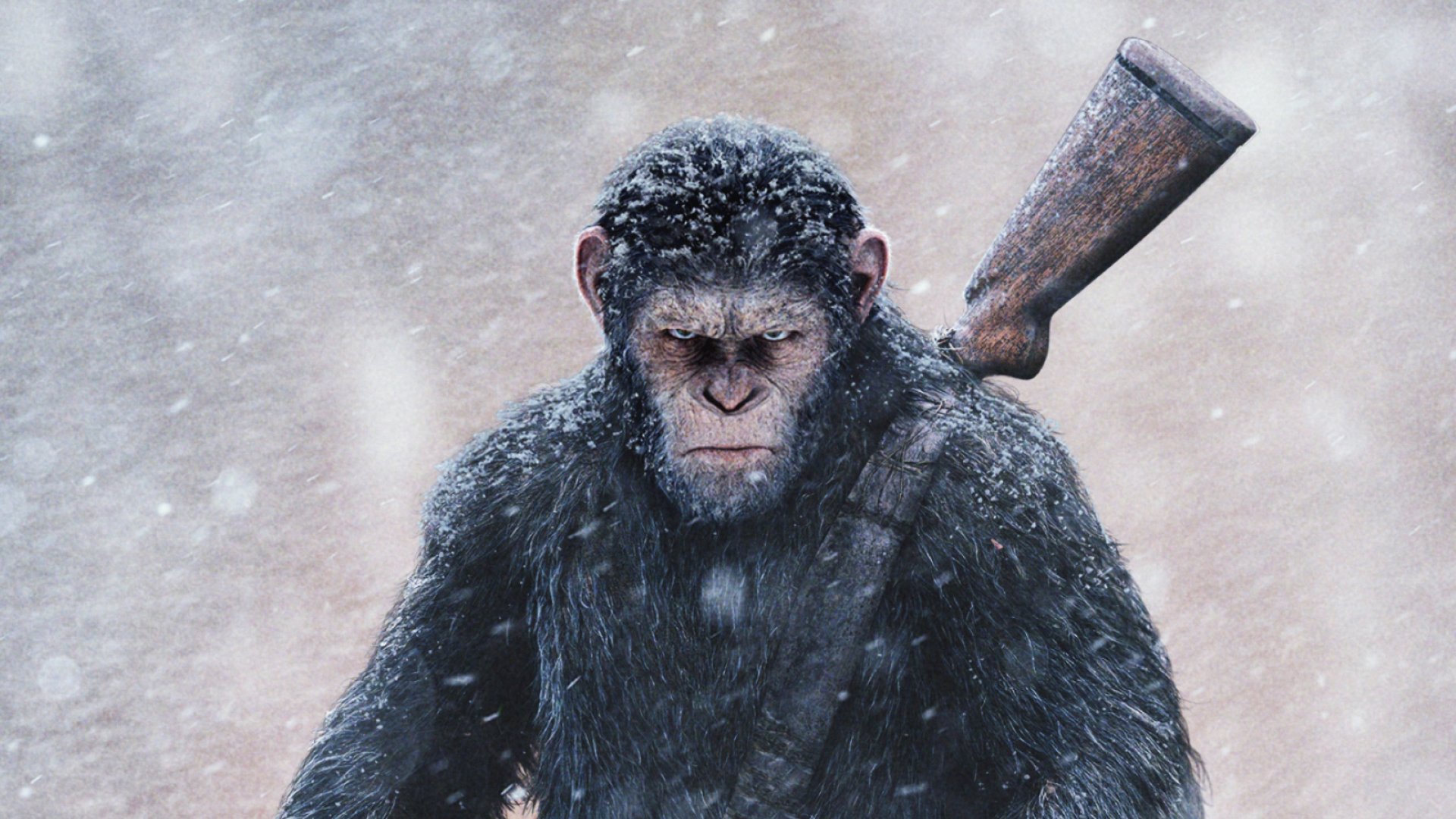 Gratis War For The Planet Of The Apes 2017