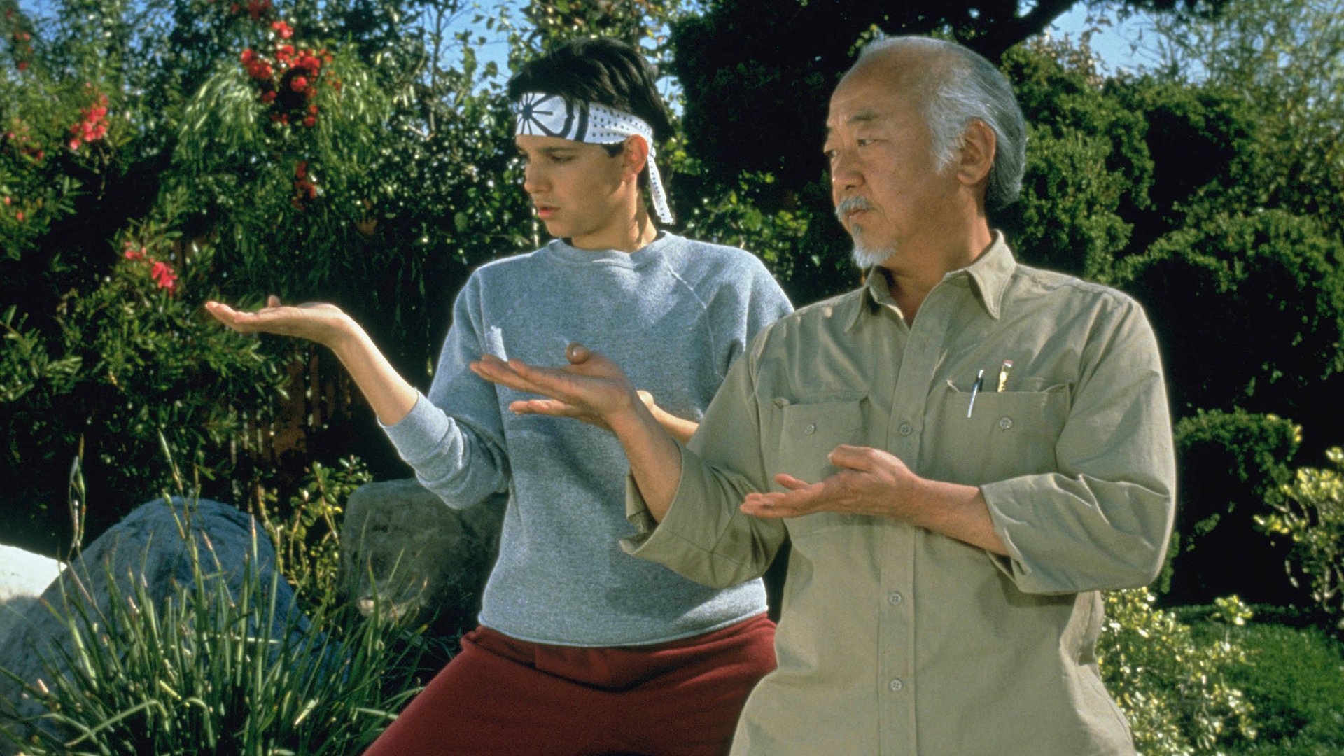 The Karate Kid Online Movie