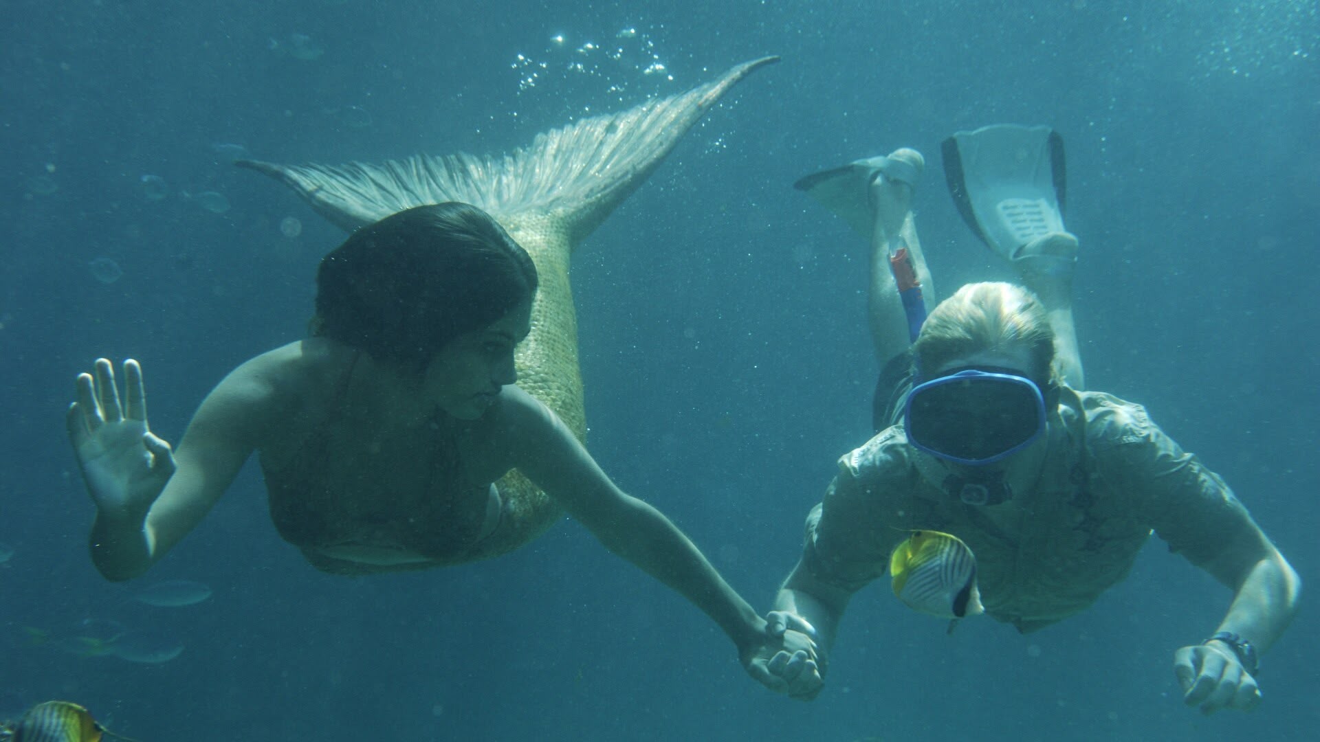 Watch H2o Just Add Water Season 2 Episode 14 Online Stream Full Episodes