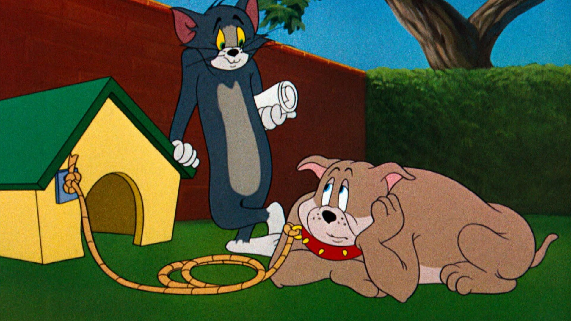 tom and jerry episodes hd