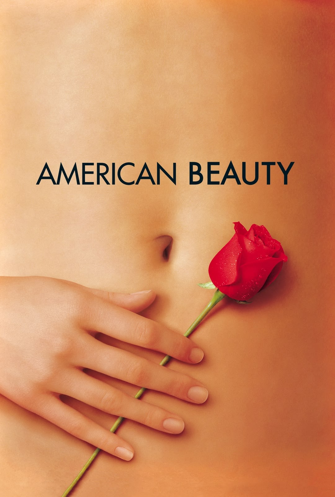 Watch American Beauty Stream Movies Online