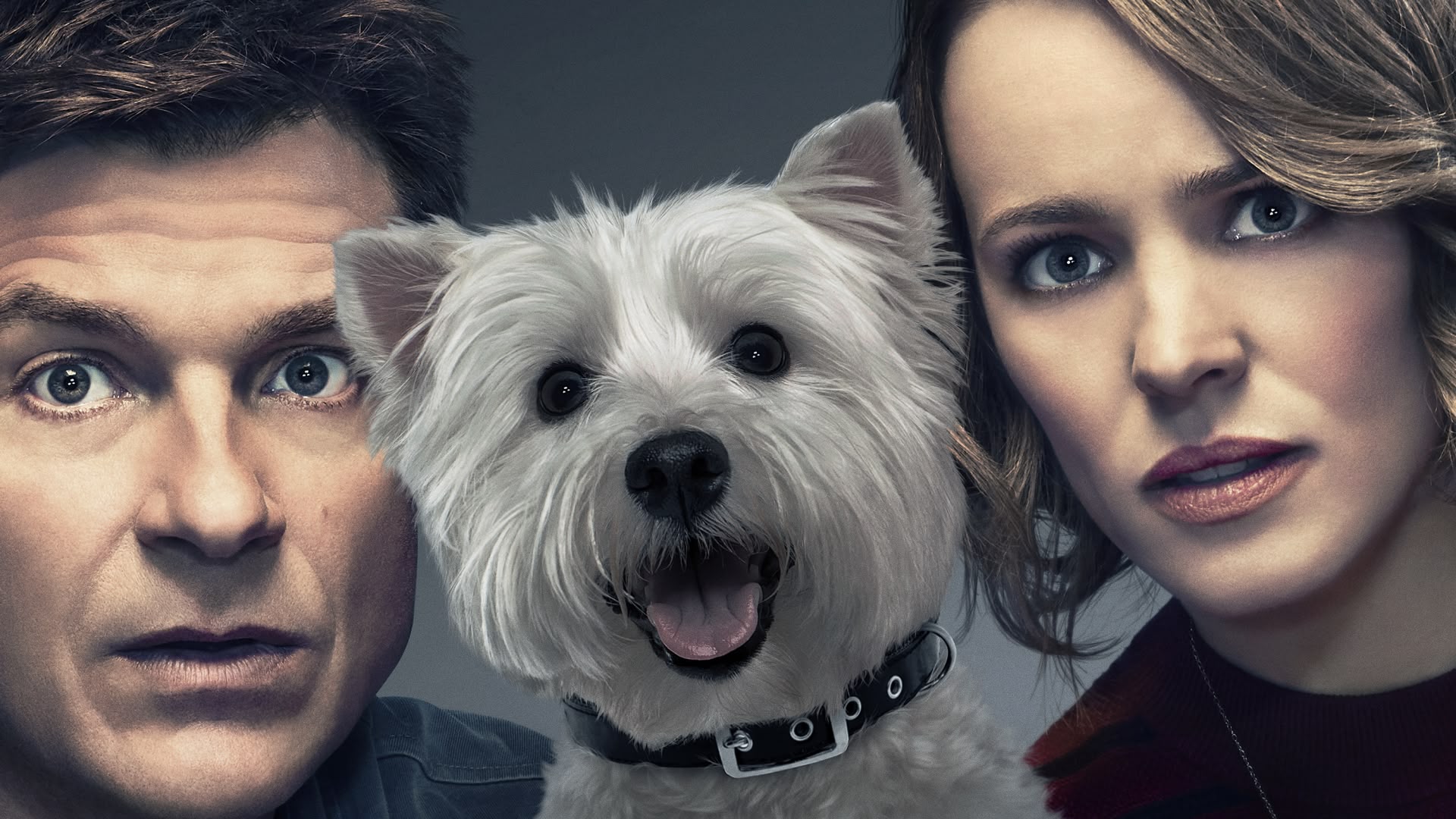 Watch Game Night Online Stream Full Movie Nowtv Free Trial