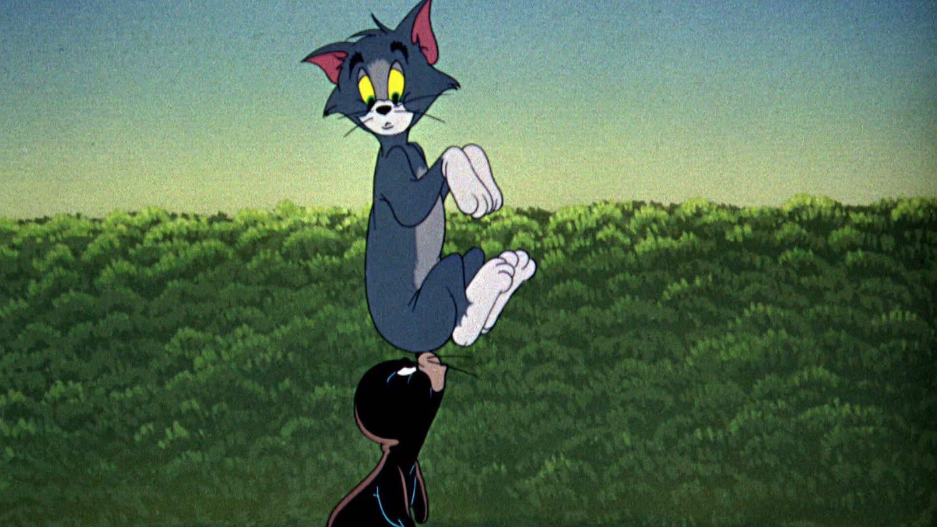Cartoon network tom and jerry episodes the one with nibbles mouse