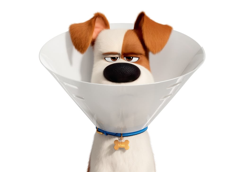 Watch Jack And Jill Online Stream Full Movie Nowtv Free Trial
