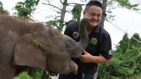 Borneo Wildlife Rescue