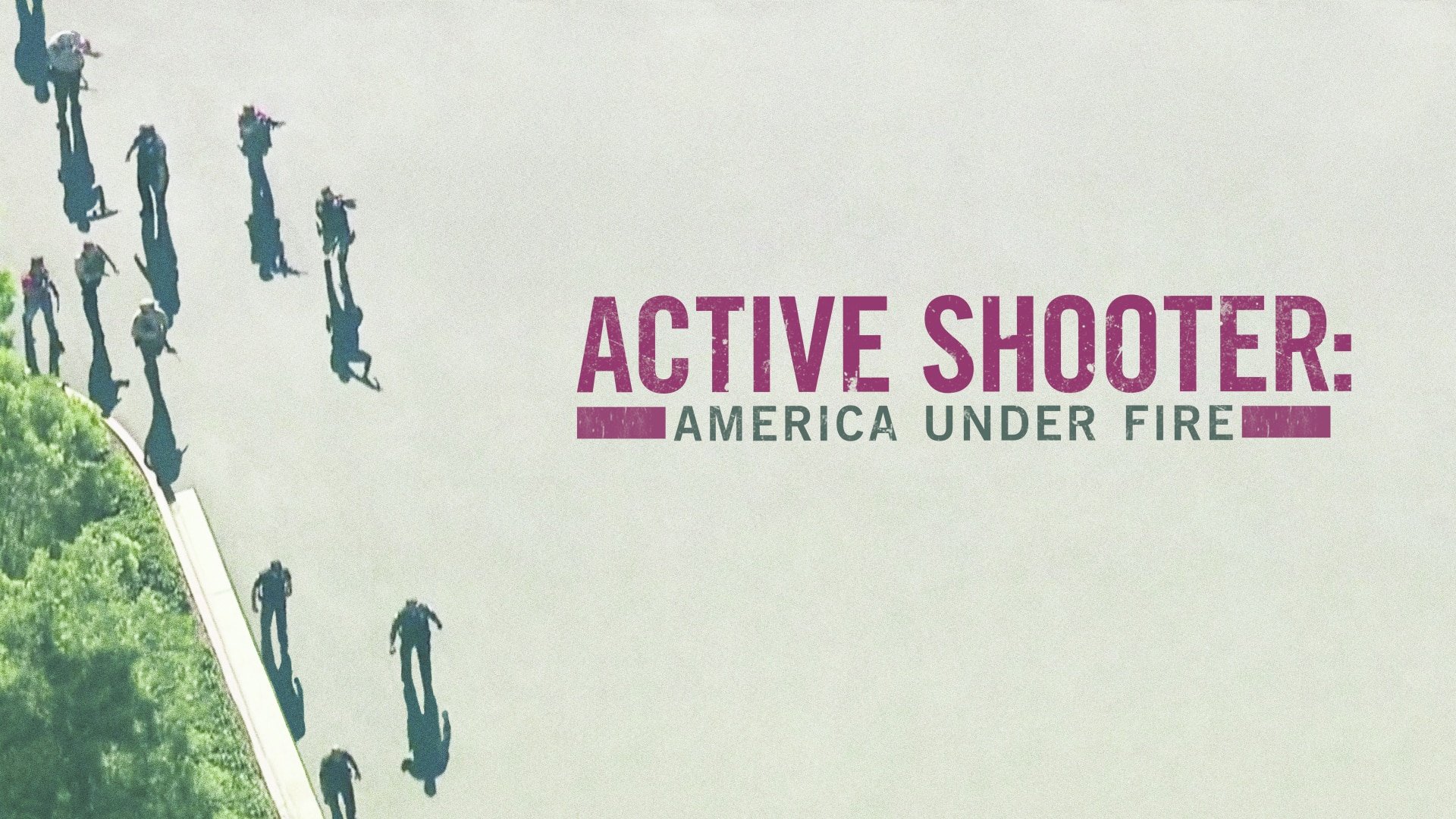 Watch Active Shooter America Under Fire Online