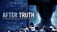 After Truth: Disinformation...