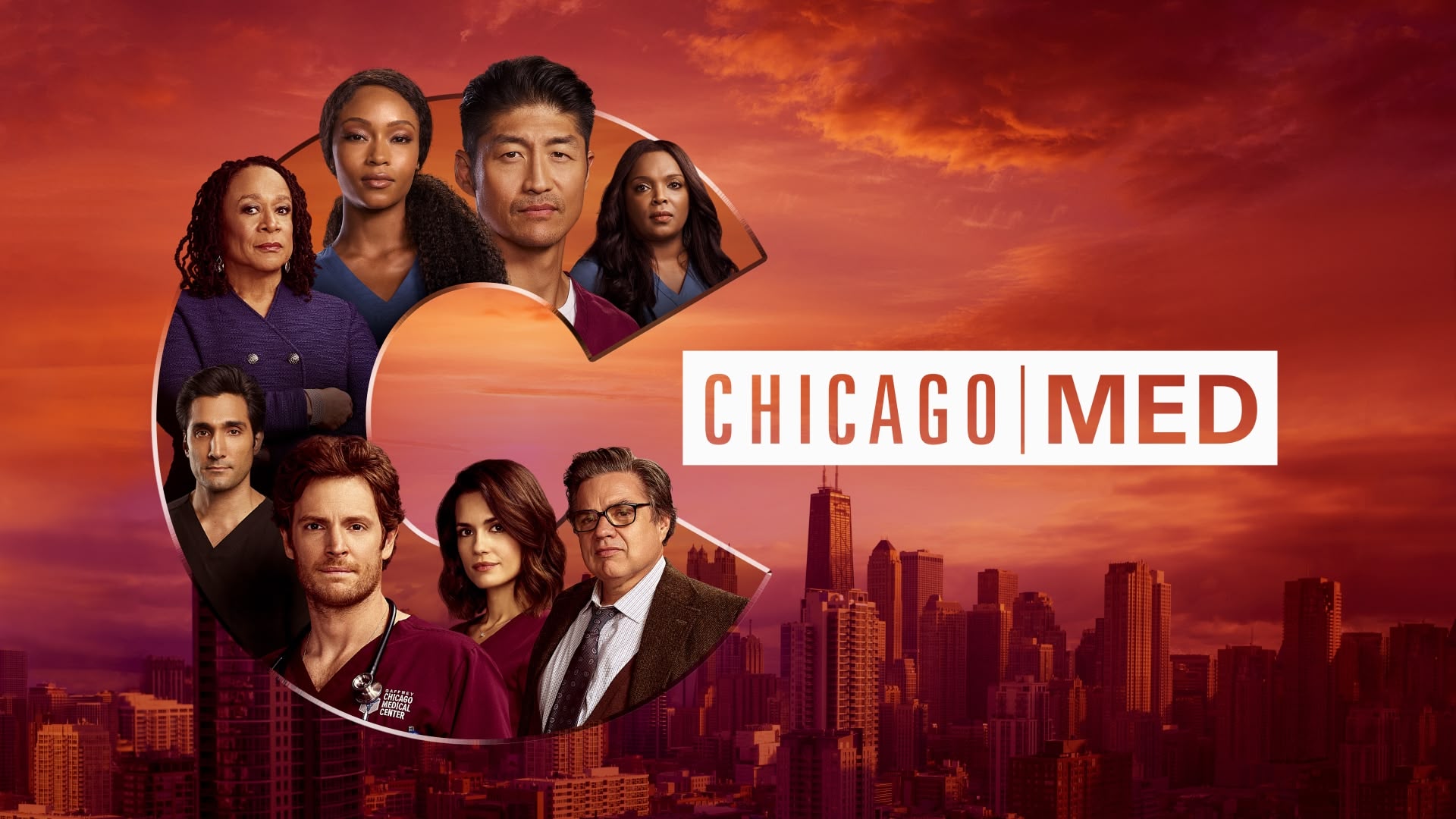 Watch chicago pd season hot sale 2 online free putlockers