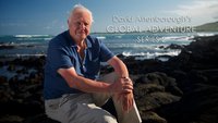 David Attenborough's Global Adventure: The Rise of Nature