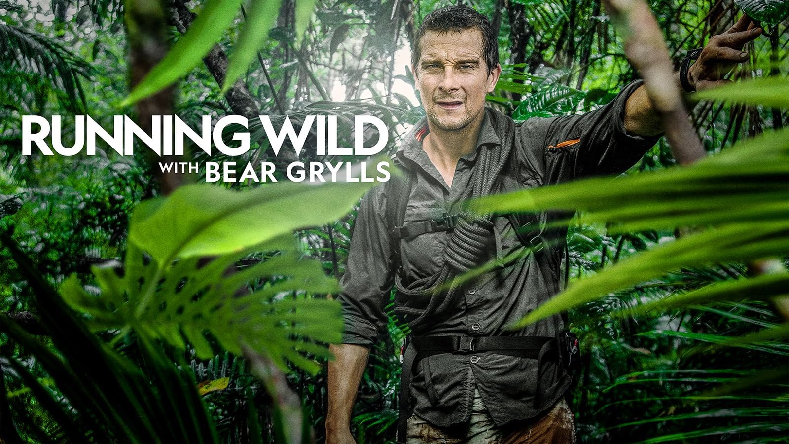 Watch Running Wild with Bear Grylls TV Show - Streaming Online