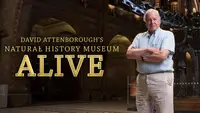  David Attenborough Natural History Museum Alive