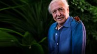 Making David Attenborough's Micro Monsters