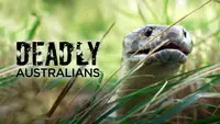 Deadly Australians