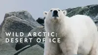 Wild Arctic: Desert Of Ice