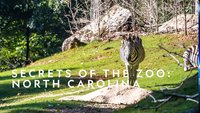 Secrets Of The Zoo: North Carolina