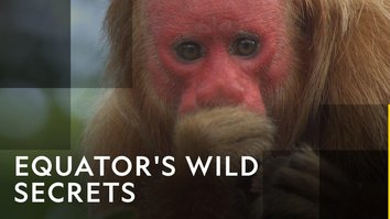Equator's Wild Secrets