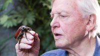 David Attenborough: Micro Monsters