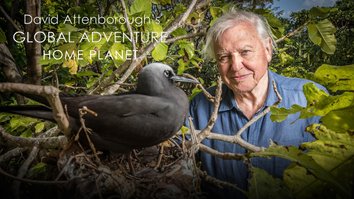 David Attenborough's Global Adventure - Home Planet