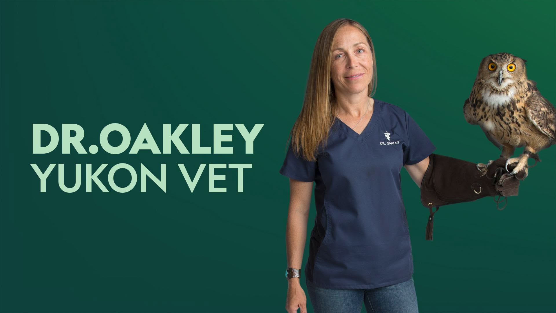 Dr oakley yukon vet full episodes free hot sale