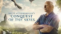  David Attenborough Conquest Of The Skies