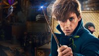 Fantastic Beasts And Where To...