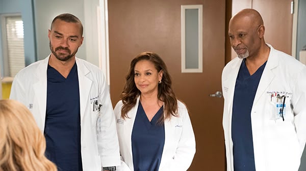 GreyS Anatomy Kostenlos Schauen