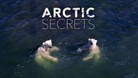 Arctic Secrets