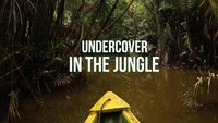 Undercover In The Jungle