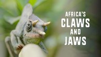 Africa's Claws And Jaws